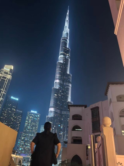 Глубокое культивирование, расширение будущего: хроника технологий Чжуньпина Промышленное путешествие на Ближнем Востоке6